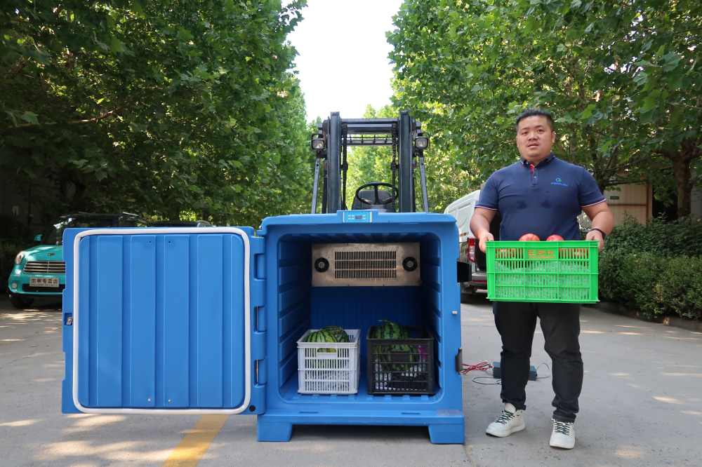 DC 48V blue cooling box from china