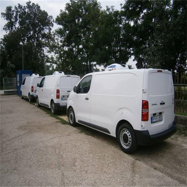 <h3>Refrigerated Rental Vans</h3>
