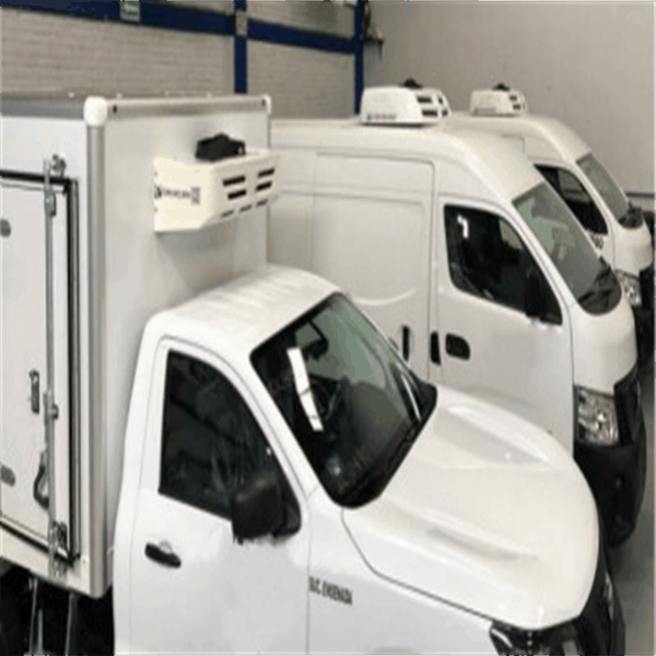 <h3>meat refrigerated truck sale for Shipping Food - van reefer unit</h3>
