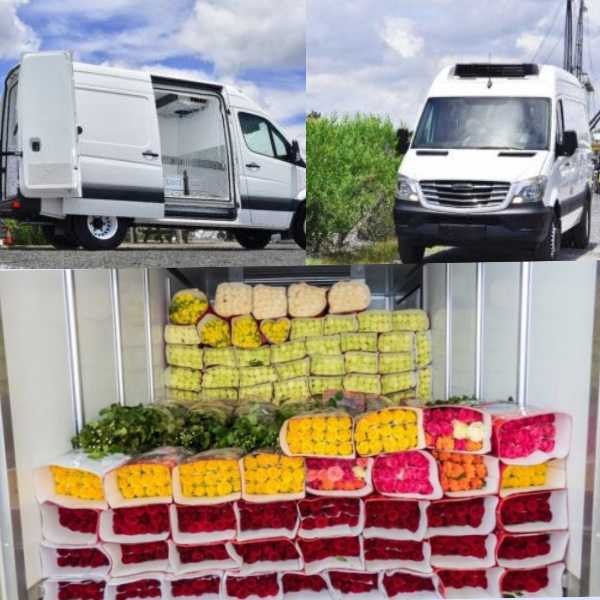 Best Refrigerated Vehicles For Your Business